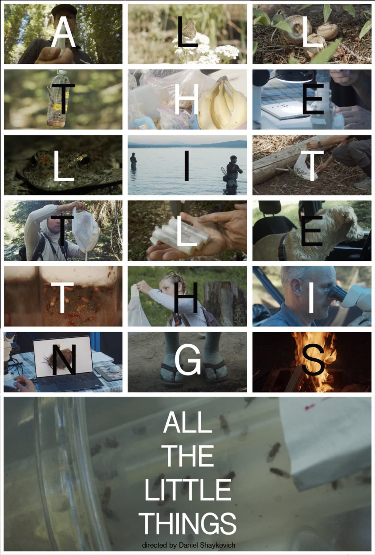 All the Little Things