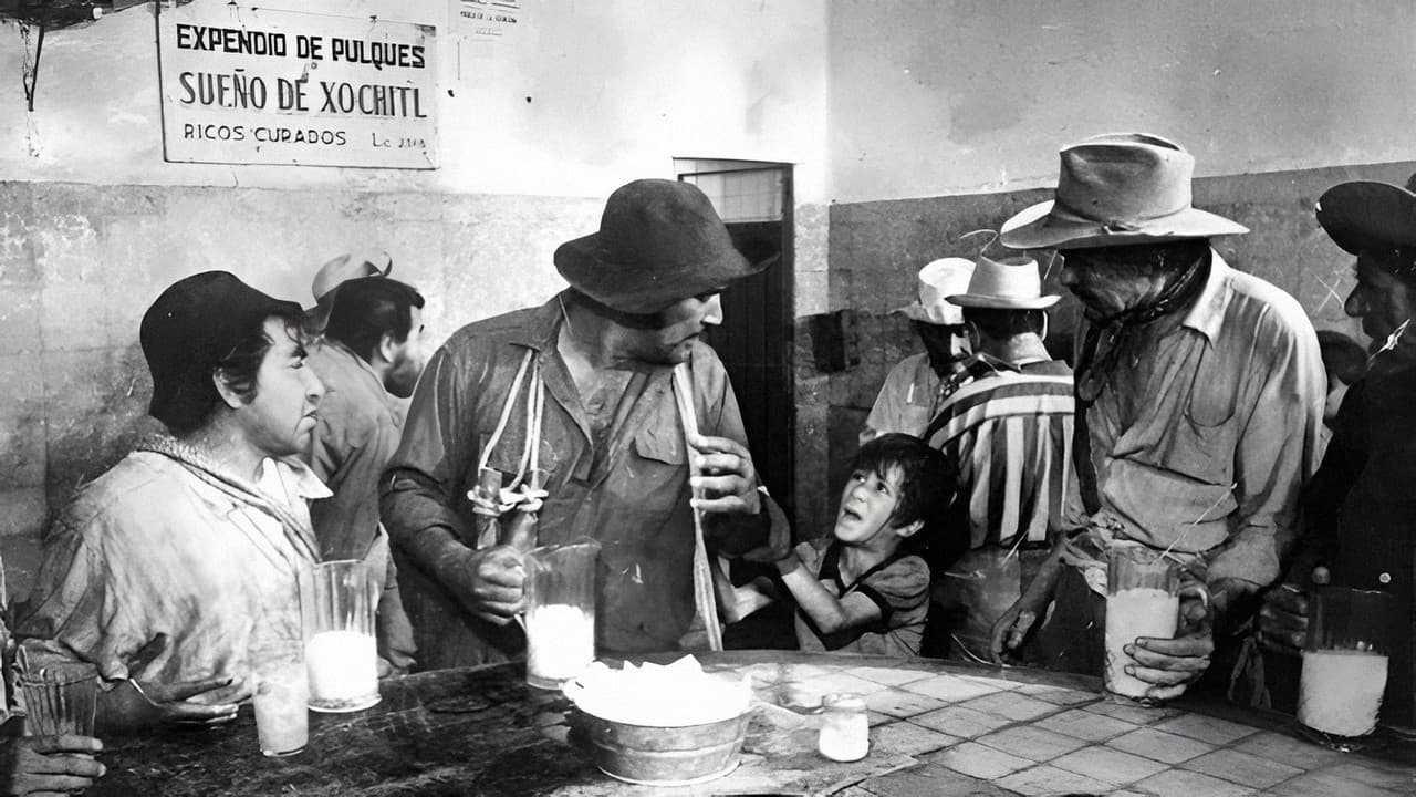 The Bricklayers
