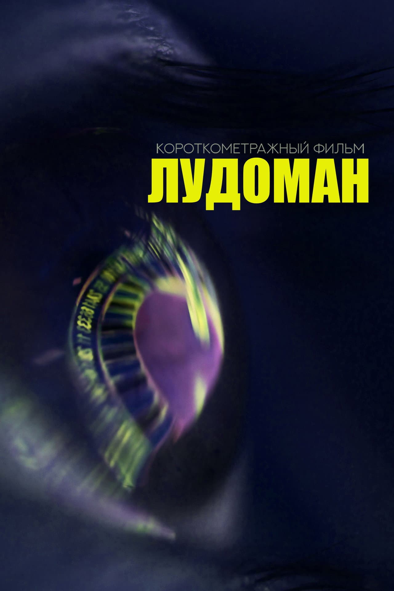 The Ludoman