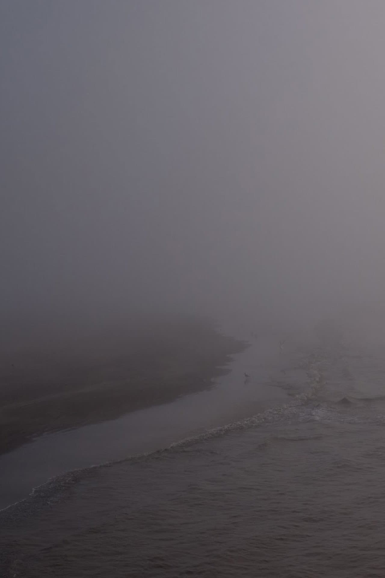 Niebla