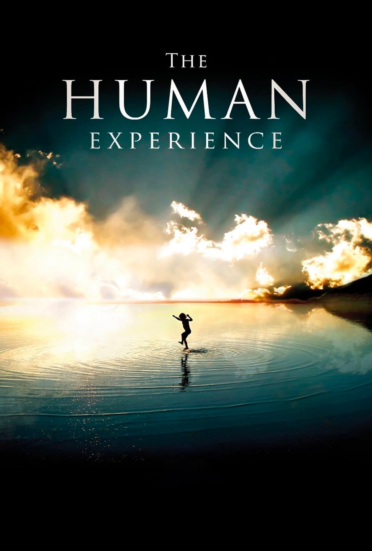 The Human Experience