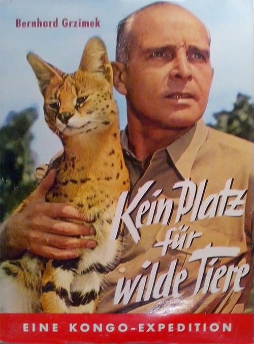 No Place for Wild Animals