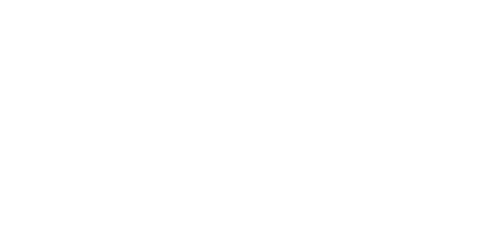Little Brother