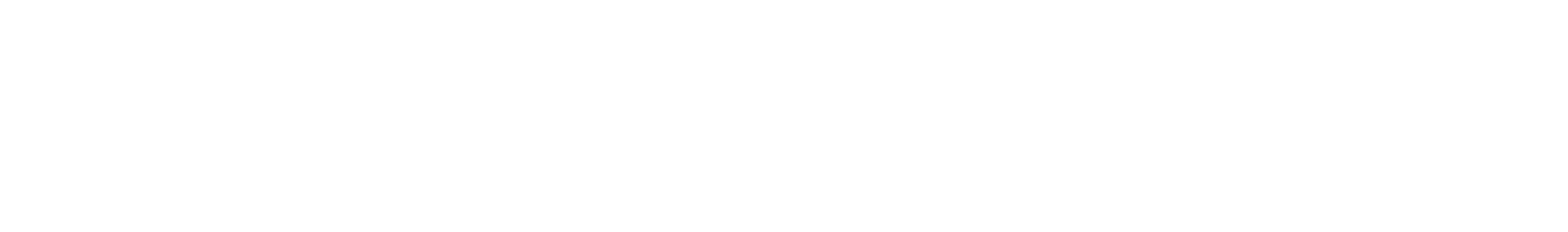 Little Dieter Needs to Fly logo