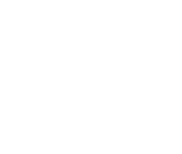 Three Identical Strangers logo