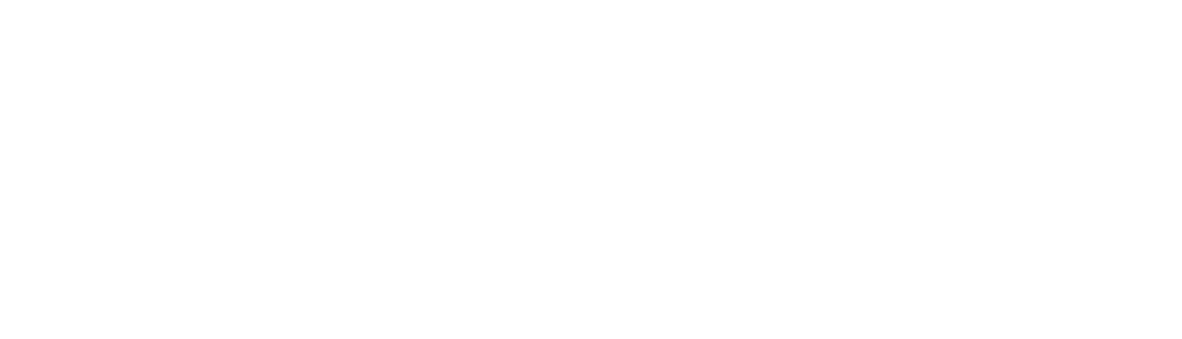 Susan Slept Here logo