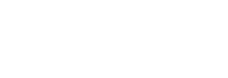 Hotel Noir logo