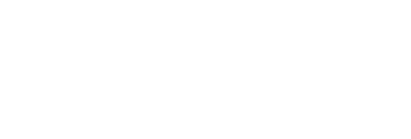 Daughters Courageous logo