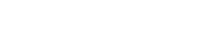 Torso logo