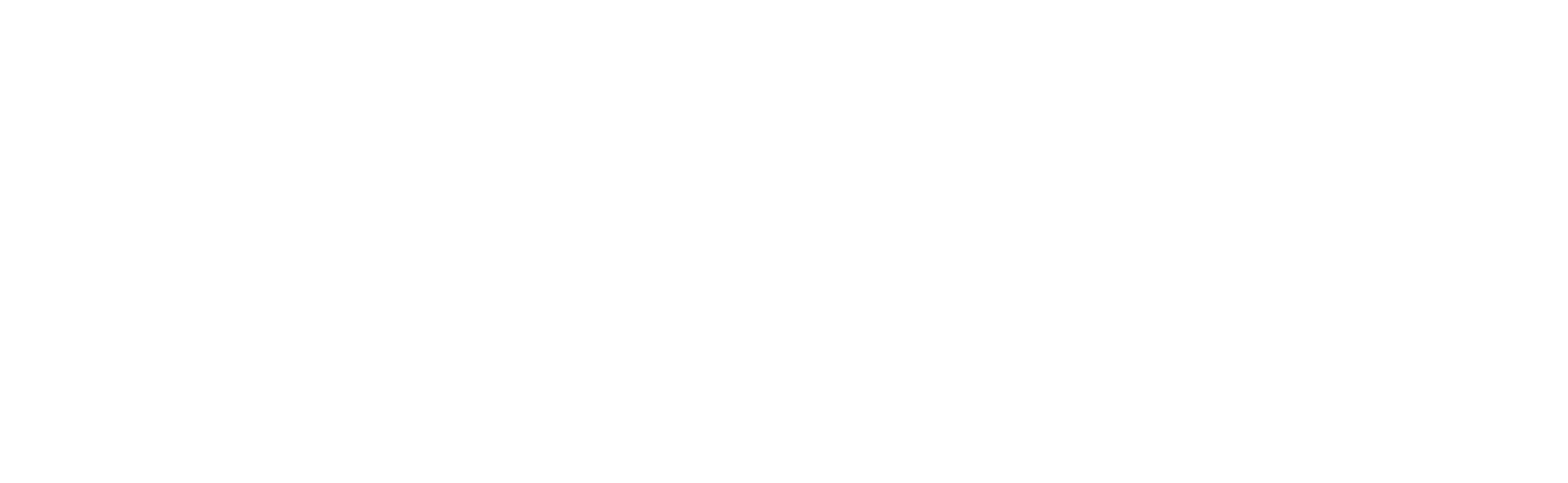 Palmer logo