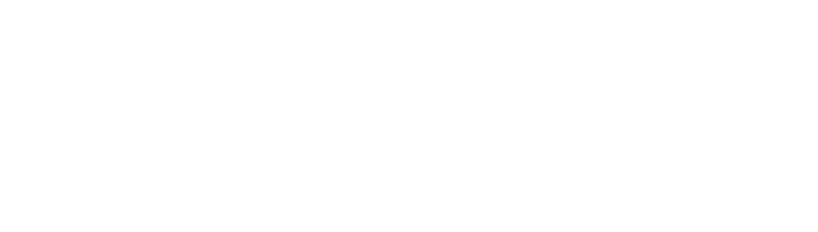 Indiscreet logo