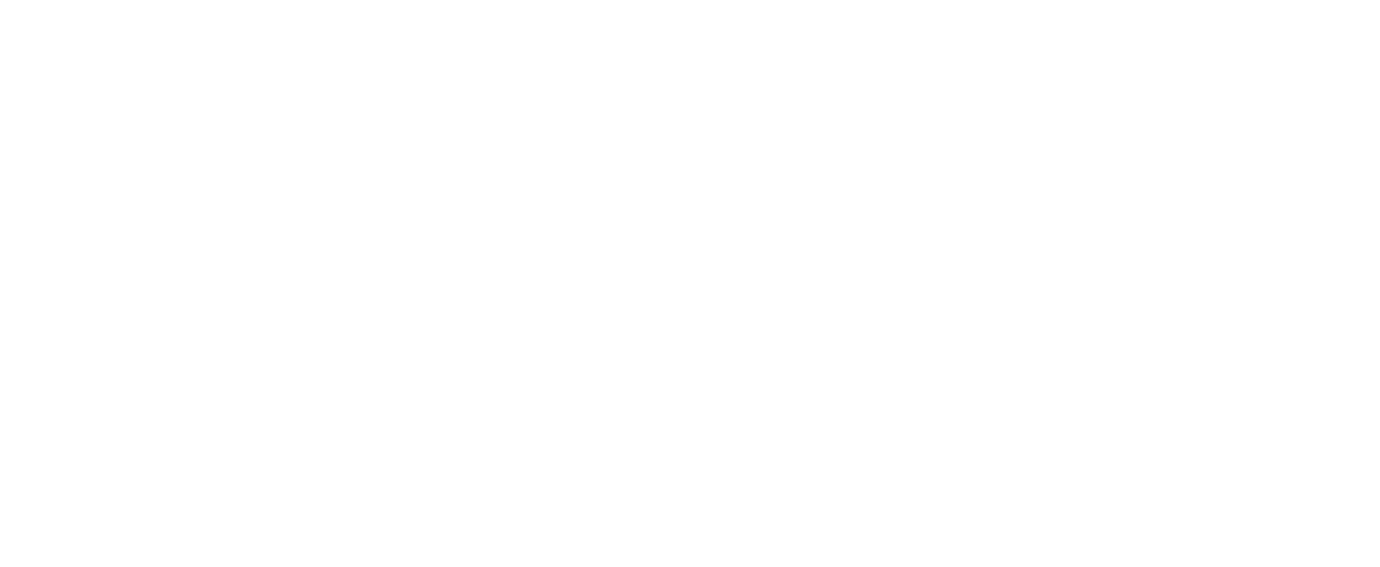 Summit of Our Youth logo